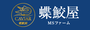 蝶鮫屋 MSファーム