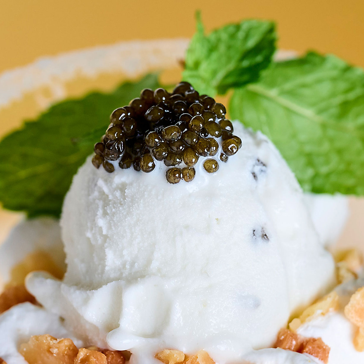 caviar ice cream(新見フレッシュキャビアアイス)