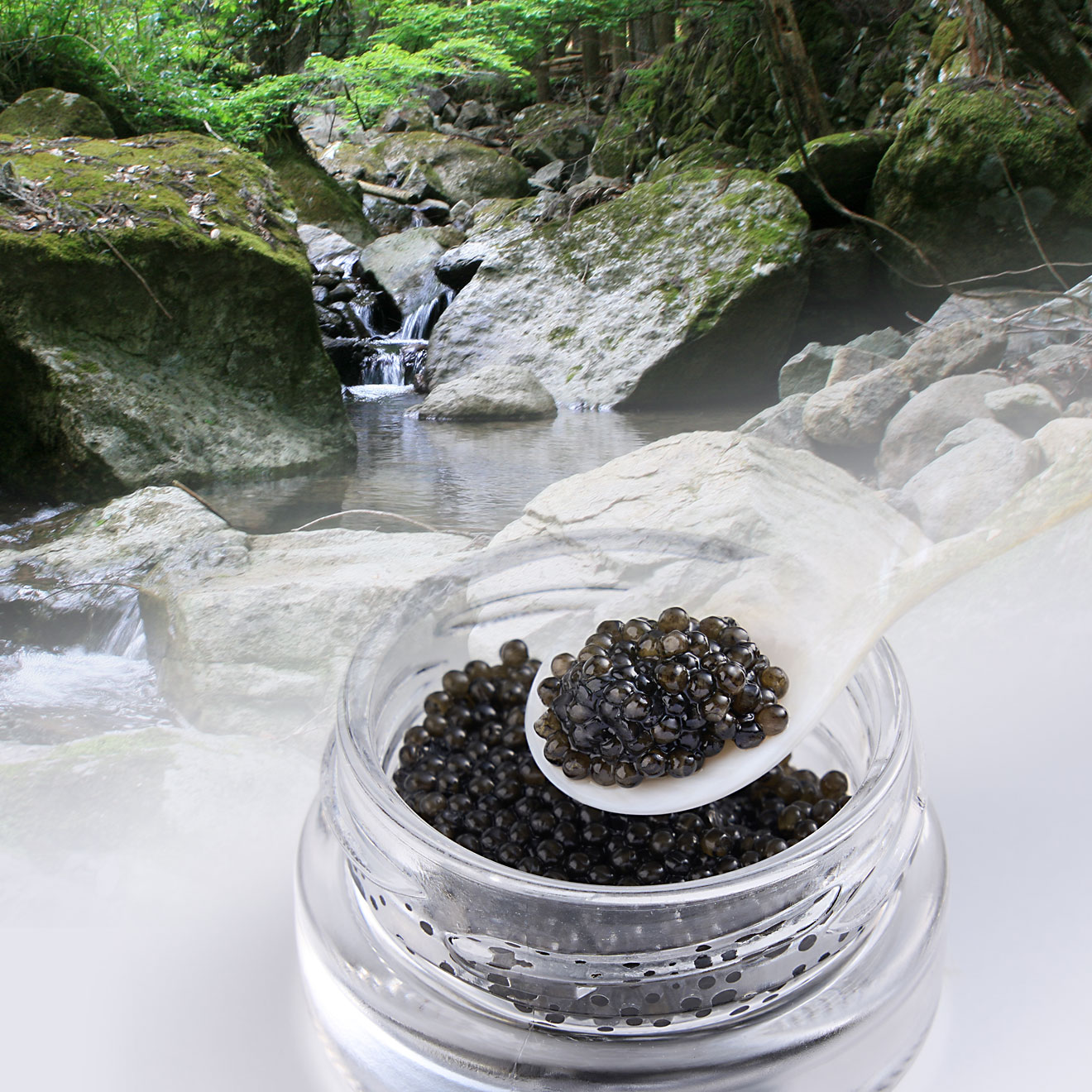 caviar(新見フレッシュキャビア)